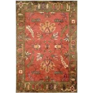  Safavieh   Rodeo Drive   RD240A Area Rug   5 x 8   Multi 