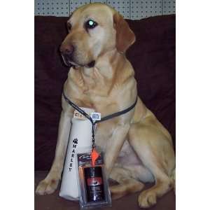  Marley Sporting Dog Basic Training Kit