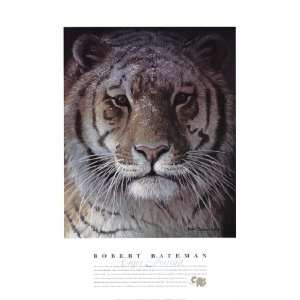  Tiger Portrait by Robert Bateman 24x32: Home & Kitchen