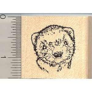  Small Baybee Ferret Face Rubber Stamp: Arts, Crafts 