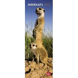  Meerkats 2012 Slimline Wall Calendar