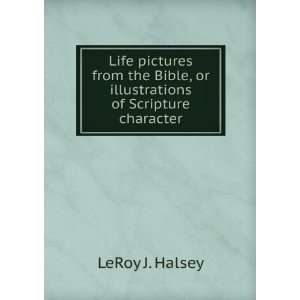 Life pictures from the Bible, or illustrations of Scripture character 