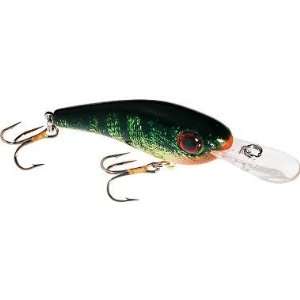  Lindy Shadling, Gold Shiner, 5