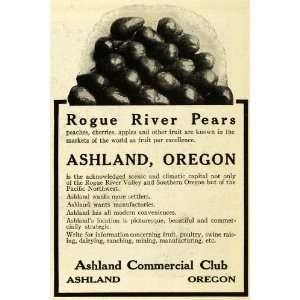  1913 Ad Ashland Oregon Chamber Commerce Jackson Rogue 