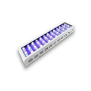  100W Dimmable LED Grow Light: Home & Kitchen