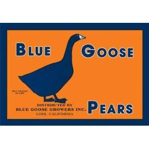  Blue Goose Pears 12x18 Giclee on canvas