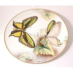 Studio DRB Devon Paradise Tailed Birdwing Exotic Butterflies 