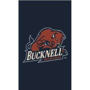  NCAA Team Spirit Rug   Bucknell Bisons: Sports & Outdoors