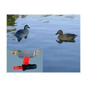   Pair of Swimmn Decoys Blue Winged Teal  Drake & Hen: Sports & Outdoors