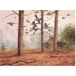  David Maass   Morning Exercise Mourning Doves Artists 