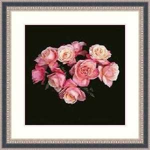   Roses, 1988 by Robert Mapplethorpe   Framed Artwork