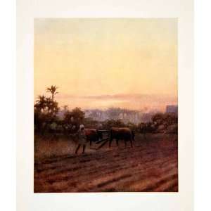   Oxen Fellah Robert Talbot Kelly   Original Color Print: Home & Kitchen