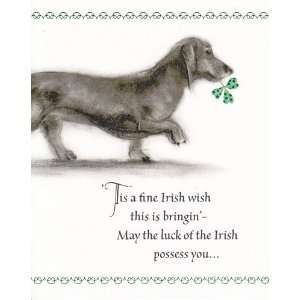   Irish Wish This Is Bringin May the Luck of the Irish Possess You