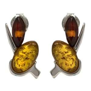   Silver Multi Color Amber Small Two stone Stud Earrings: Jewelry