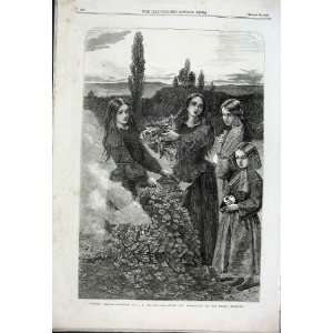  Autumn Leave By Millais Fine Art 1856 Old Print