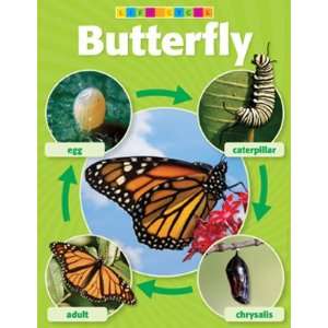  Chart: Butterfly Life Cycle: Toys & Games