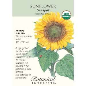  Sunspot Organic Sunflower Seeds Patio, Lawn & Garden