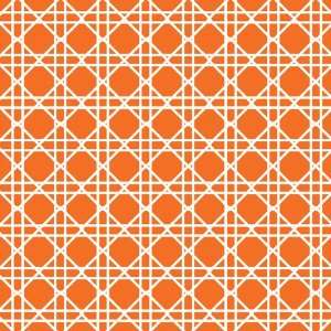  Sunkissed Orange Beverage Napkins   Cane Print Health 