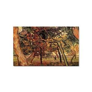  Study of Pine Trees By Vincent Van Gogh Magnet: Office 