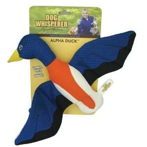  Romp! Dog Whisperer   The Alpha Duck Dog Toy: Pet Supplies