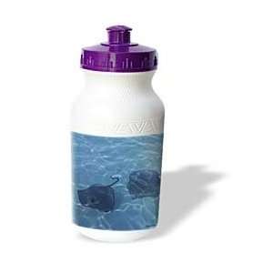 Edmond Hogge Jr Fish   Cayman Island Stingrays   Water Bottles:  