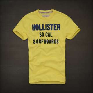 HOLLISTER MENS 2011 T SHIRTS ALL SIZES NWT  