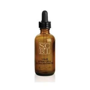  Stem Cell Concentrate, 0.8 fl. oz. Beauty