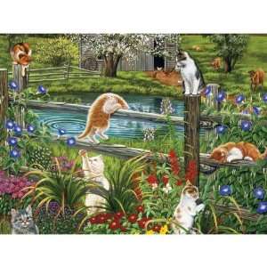  Cats at Play, 1000 Piece Toys & Games