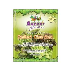  Ambers Garden AGSG Salad Seed Mat Seeding Kitchen 