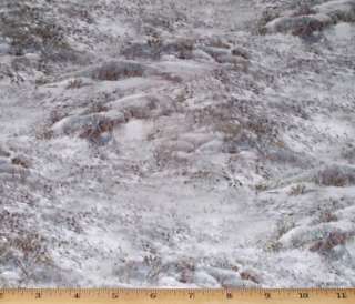 Winters Gleam Snow Ground Landscape Quilt Fabric 1/2yd  