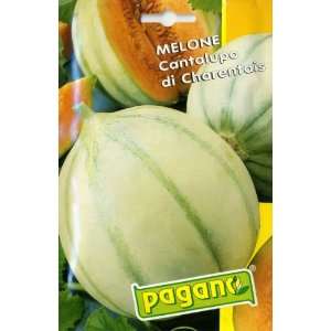   /Cantaloupa French Charentais Type Seed Packet: Patio, Lawn & Garden