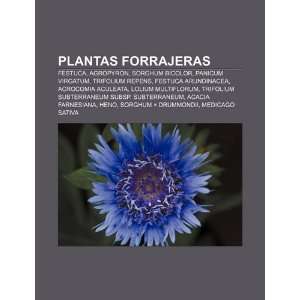  Plantas forrajeras Festuca, Agropyron, Sorghum bicolor 
