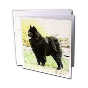  Dogs Chow Chow   Black Chow   Greeting Cards 6 Greeting 