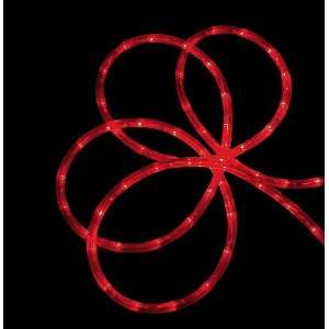   Festive Red LED Indoor/Outdoor Christmas Rope Lights: Home Improvement
