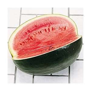 com Watermelon Black Diamond Great Heirloom Garden Vegetable 25 Seeds 