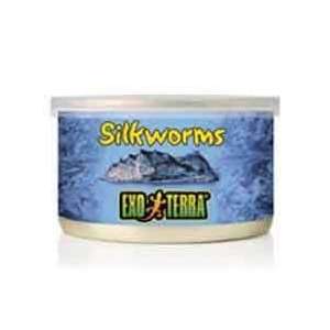  Exo Terra Wild Silkworm Pupae MEDIUM 1.2 oz. Can Kitchen 