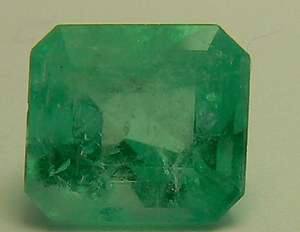 04cts Picturesque Loose Colombian Emerald~Emerald Cut  