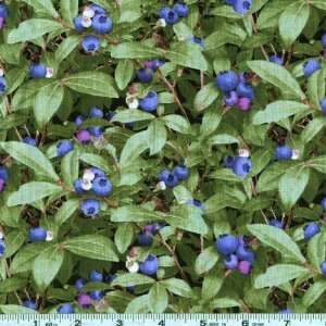  45 Wide Berry Good Blueberres Green Fabric By The Yard 