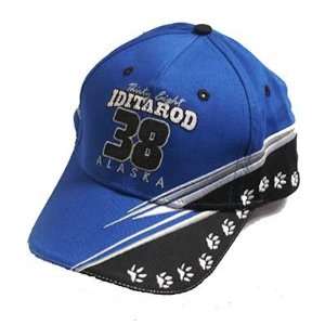  2010 Official Limited Edition Baseball Hat Sports 