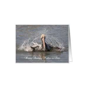   , Brown Pelican splashing at Huntington Beach State Park, SC Card