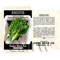 Dolls House Miniature Savoy Cabbage Seed Packet (SP09)  