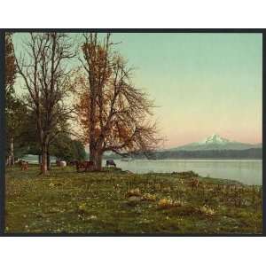   Photochrom Reprint of Mt. Hood from the Columbia River