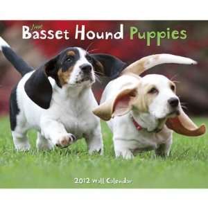  Just Basset Hound Puppies 2012 Wall Calendar: Office 