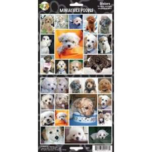  Pet Qwerks S31 Miniature Poodle Dog Sticker