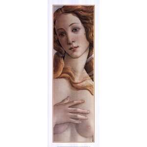   Birth of Venus (Detail) by Sandro Botticelli 14x39