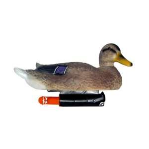  OpenZone DSM 602 Swimmn Duck Decoys Mallard Hen Sports 
