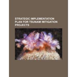  Strategic implementation plan for tsunami mitigation 