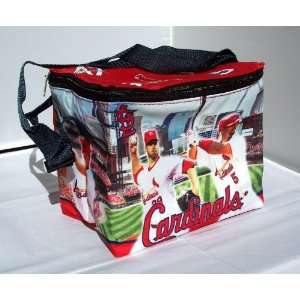   CARDINALS PHOTO INSULATED 6 PACK COOLER LUNCH BAG