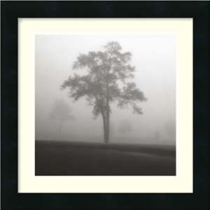  Fog Tree Study I by Jamie Cook, Framed Print Art   16.19 