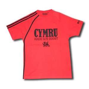  Wales T shirt